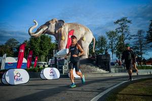 BIB: 
                            <button type="button" onclick="openModal(26541609)" class="btn btn-primary btn-sm float-right btn-popup" data-toggle="modal" data-target=".modal-high-quality">
                        <i class="fas fa-shopping-cart"></i> Add to Cart
                    </button>
                                            <button type="button" onclick="isThisMe(26541609, true)" class="btn btn-success btn-sm float-right btn-popup btn-isme hidden" data-toggle="tooltip" data-placement="bottom" title="นี่คือรูปของคุณใช่ไหม คลิกที่นี่เพื่อเอาเข้าอัลบั้ม">
                        <i class="fas fa-plus"></i> Add to album
                    </button>
                    <button type="button" onclick="isThisMe(26541609, false)" class="btn btn-warning btn-sm float-right btn-popup btn-isnotme hidden">
                        <i class="fas fa-ban"></i> Remove from album
                    </button>